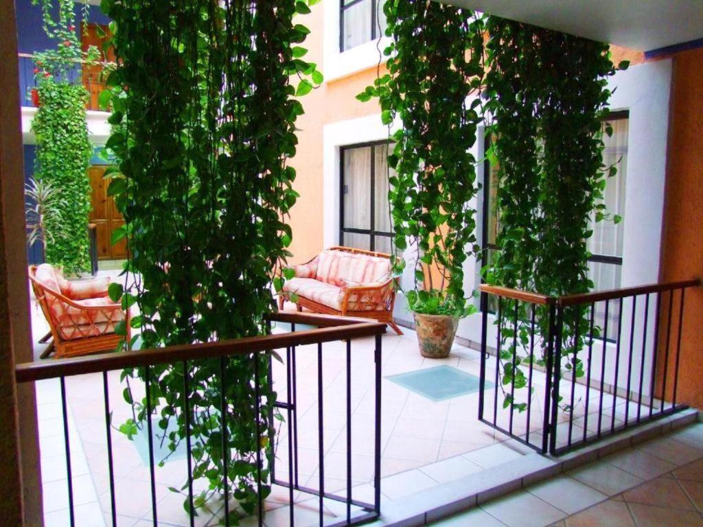 Hotel Oaxaca Dorado Εξωτερικό φωτογραφία